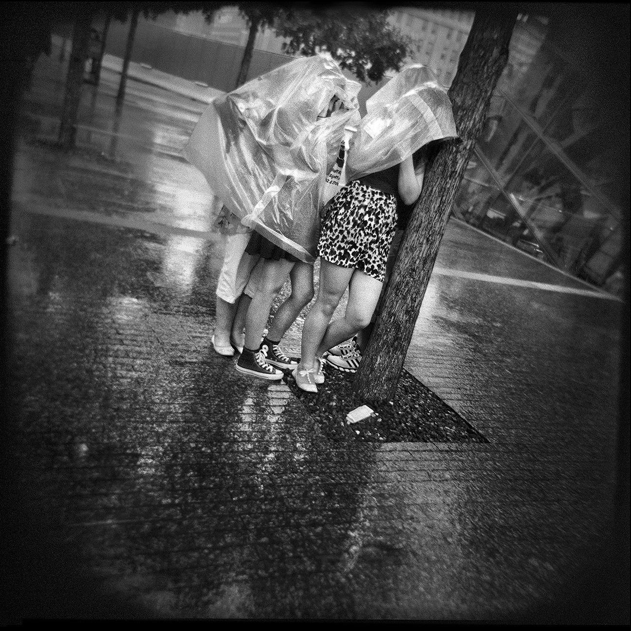02-NYC-HOLGA-QD-Oct2014-FACEBOOK