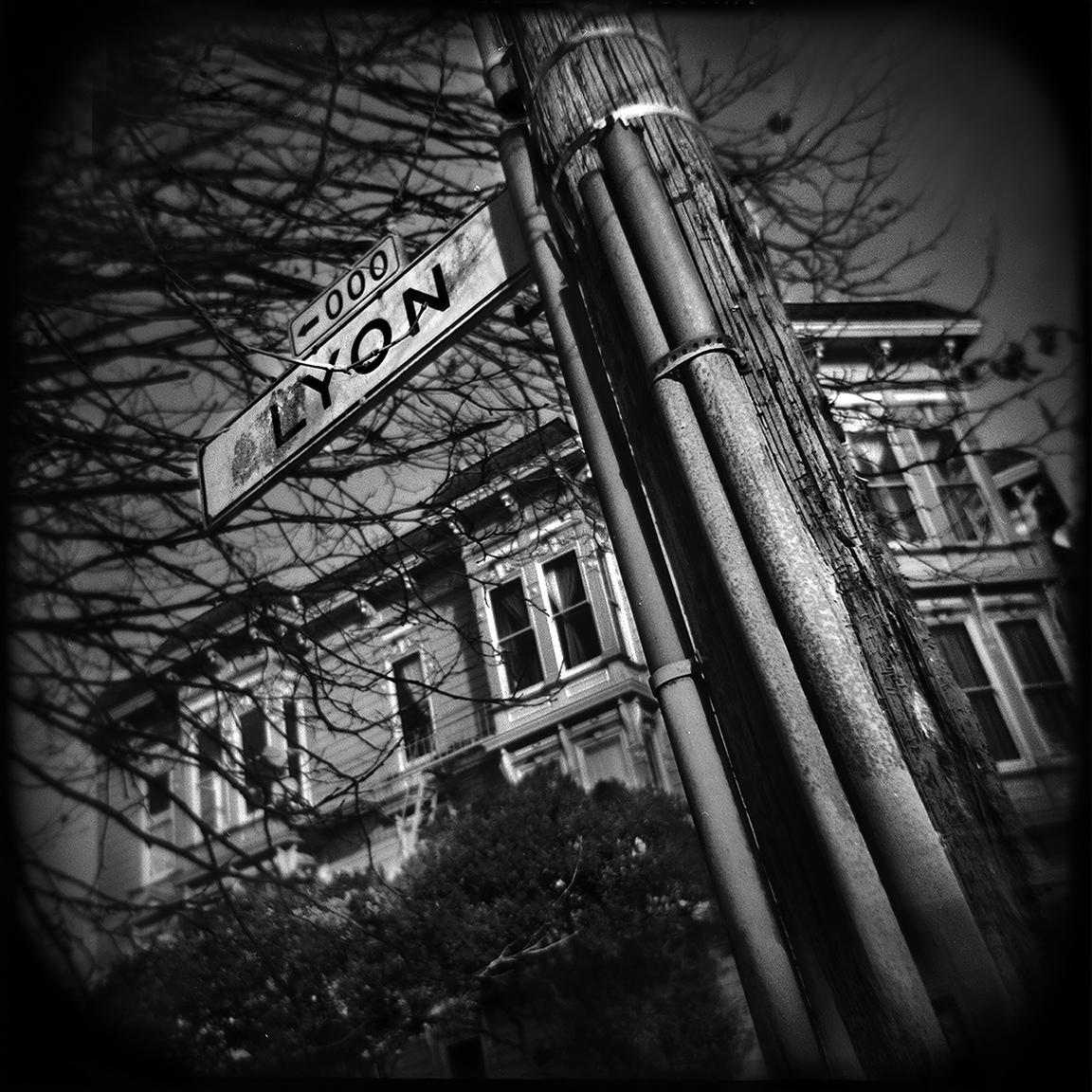 03-SF-HOLGA-WEBSITE-060314