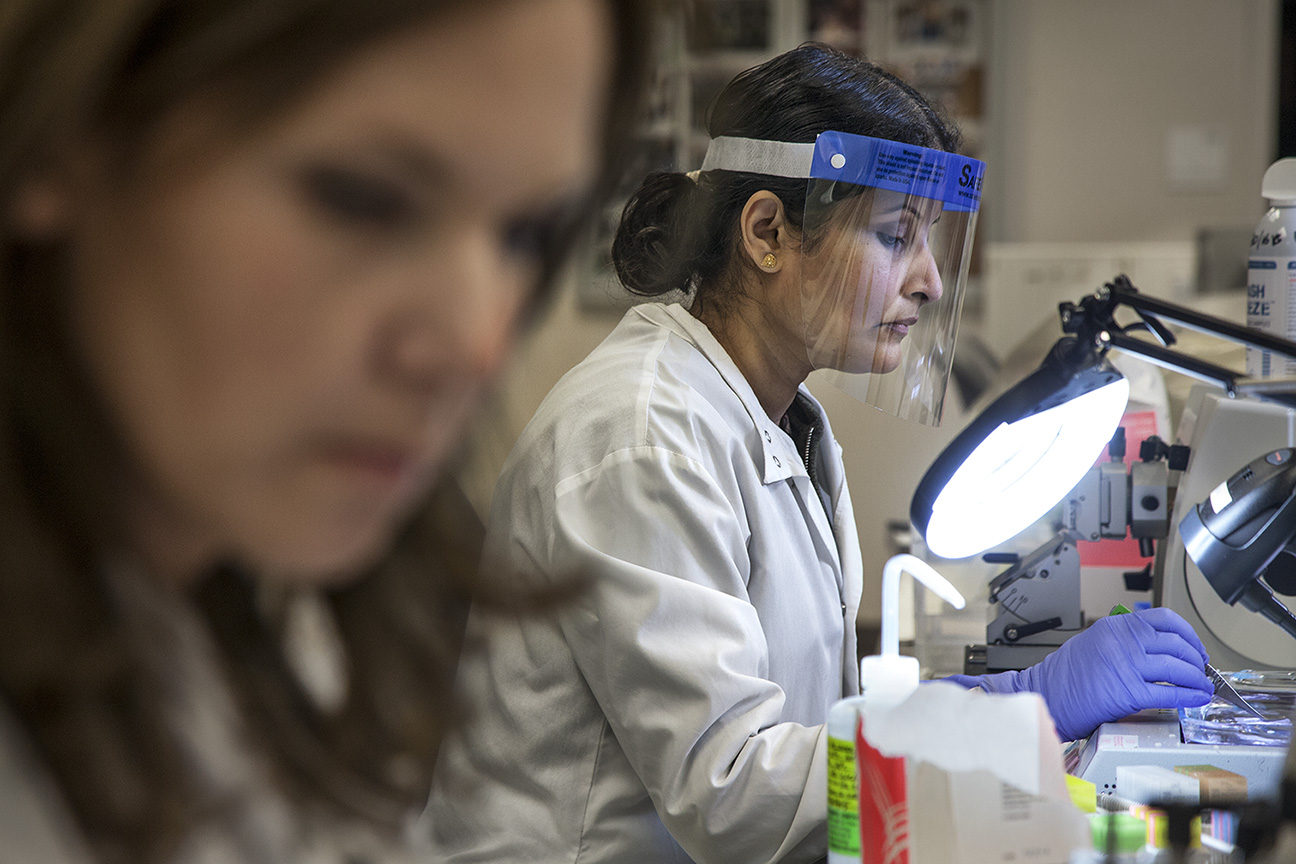 Corporate Photography-QUEST DIAGNOSTICS, SAN JUAN CAPISTRANO, CA.
