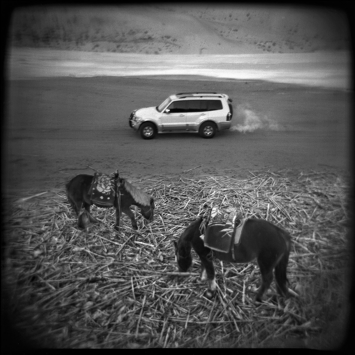 INNER MONGOLIA - 2010/2011