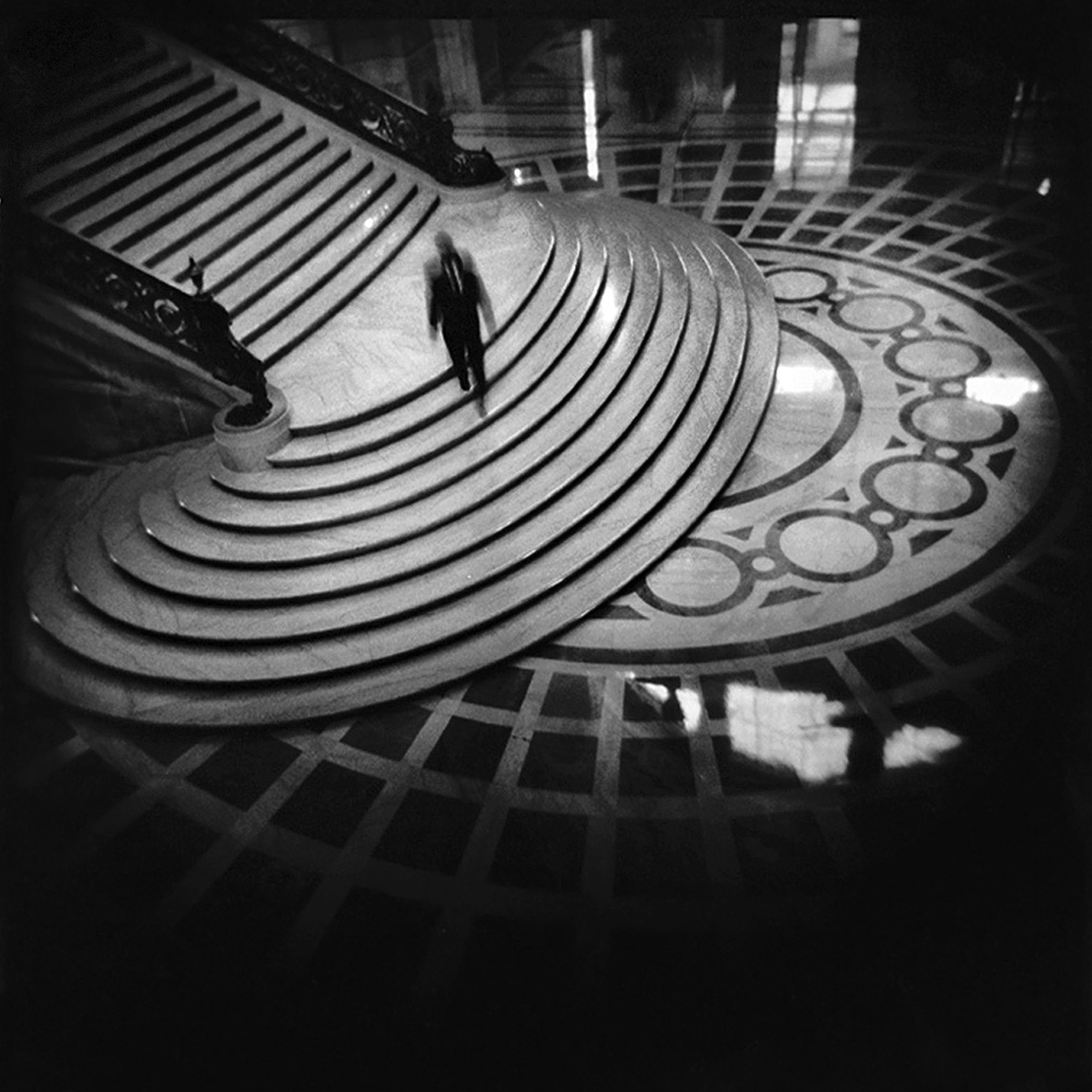 13-SF-HOLGA-WEBSITE-060314