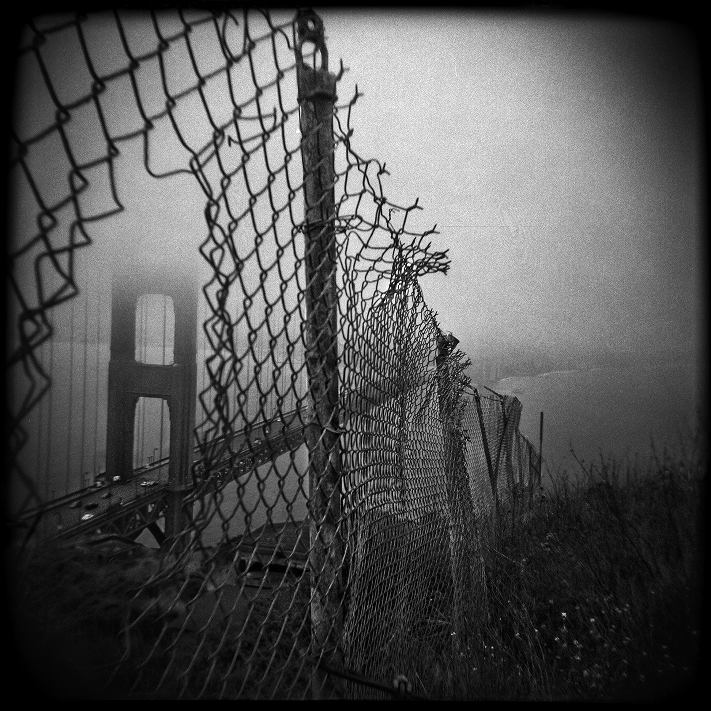 18-SF-HOLGA-WEBSITE-060314