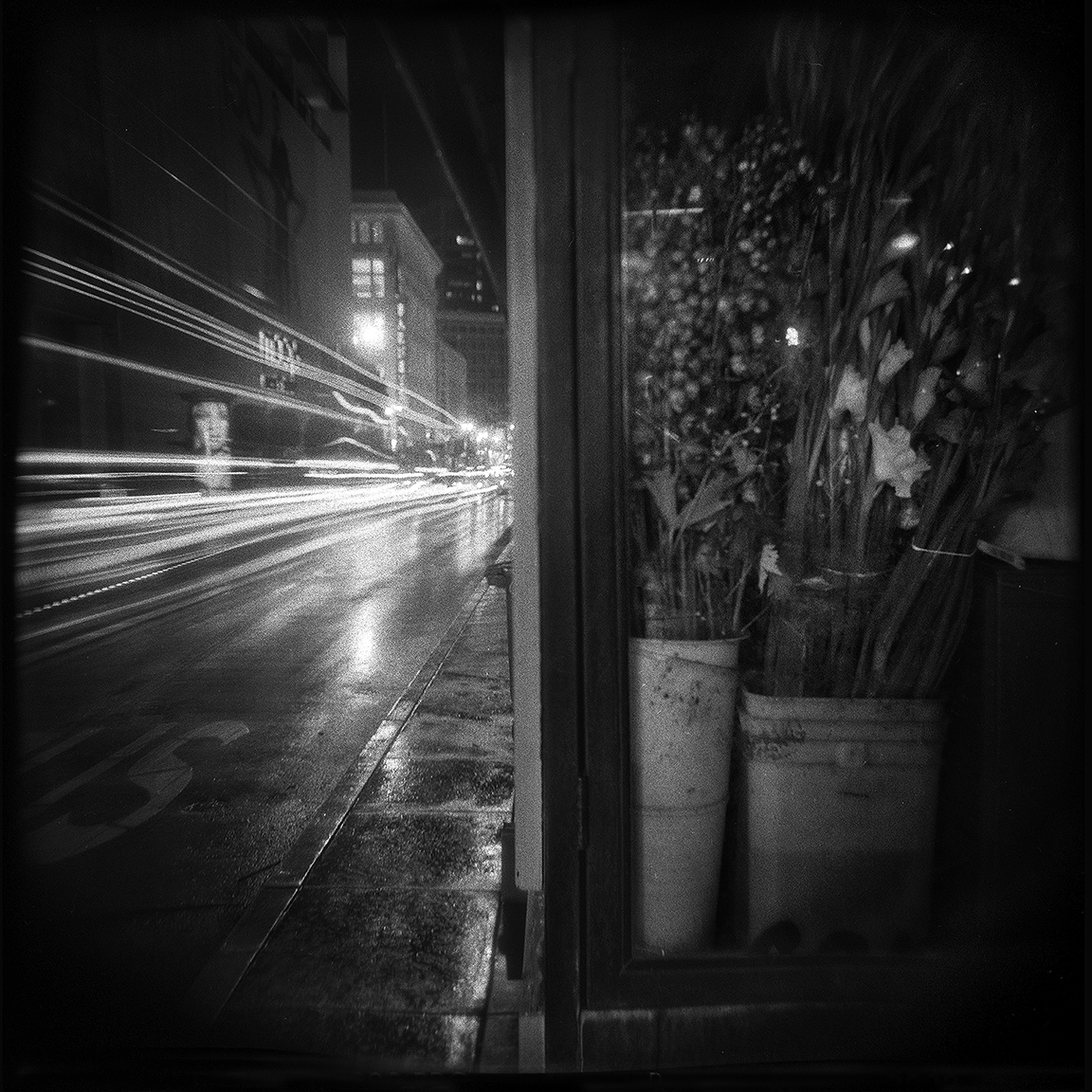 20-SF-HOLGA-WEBSITE-060314