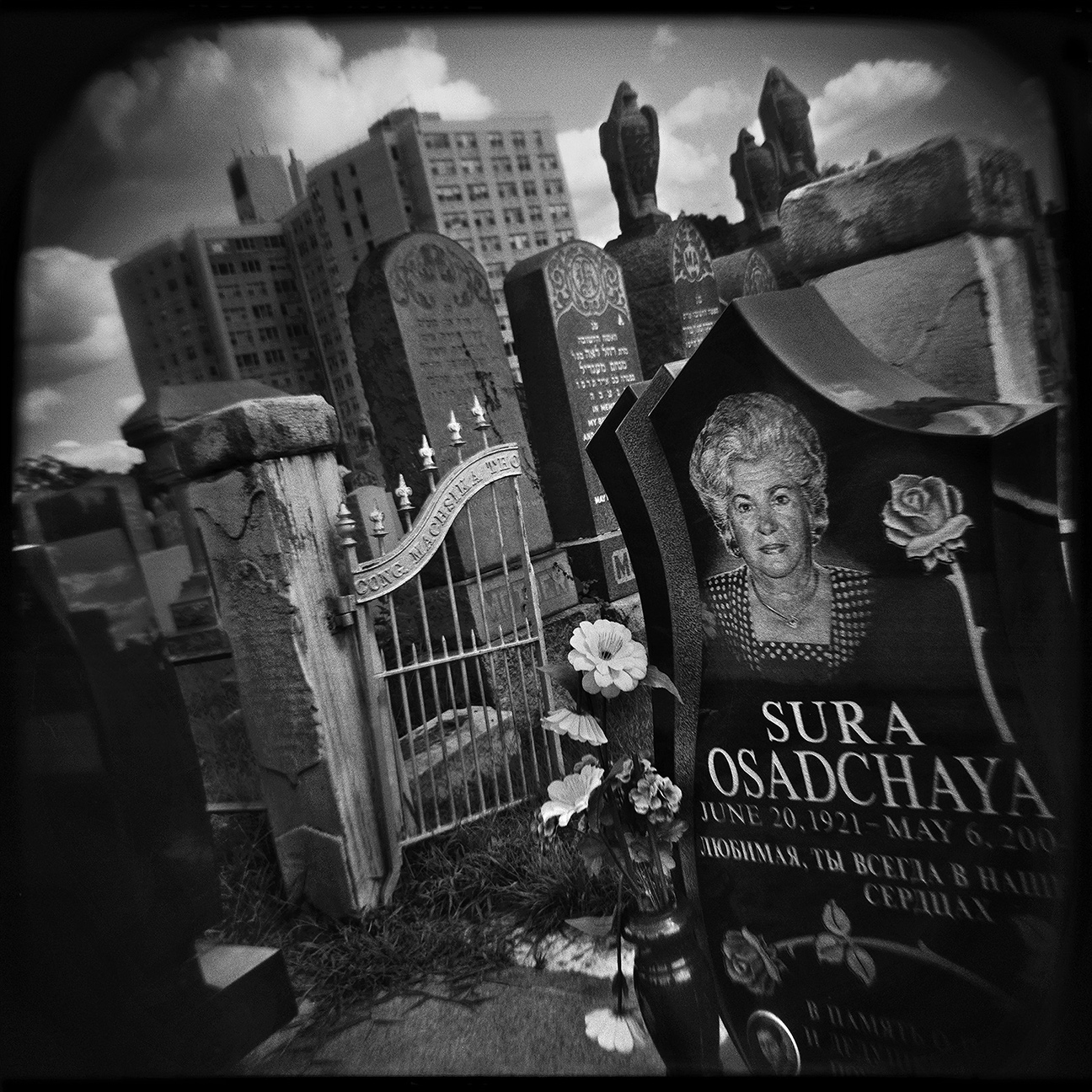 24-NYC-HOLGA-QD-Oct2014-FACEBOOK