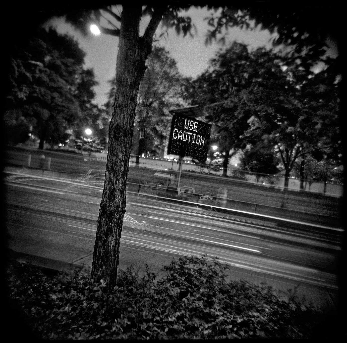 58-ALLEMAN-NewWebsite-GildedGiant-FinalOrder-092812.jpg
