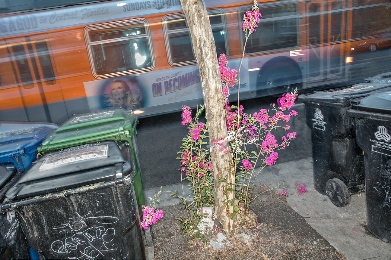 BEAST-FLORA-10Sept2019_92A8405-FINAL-WEBSITE-V2