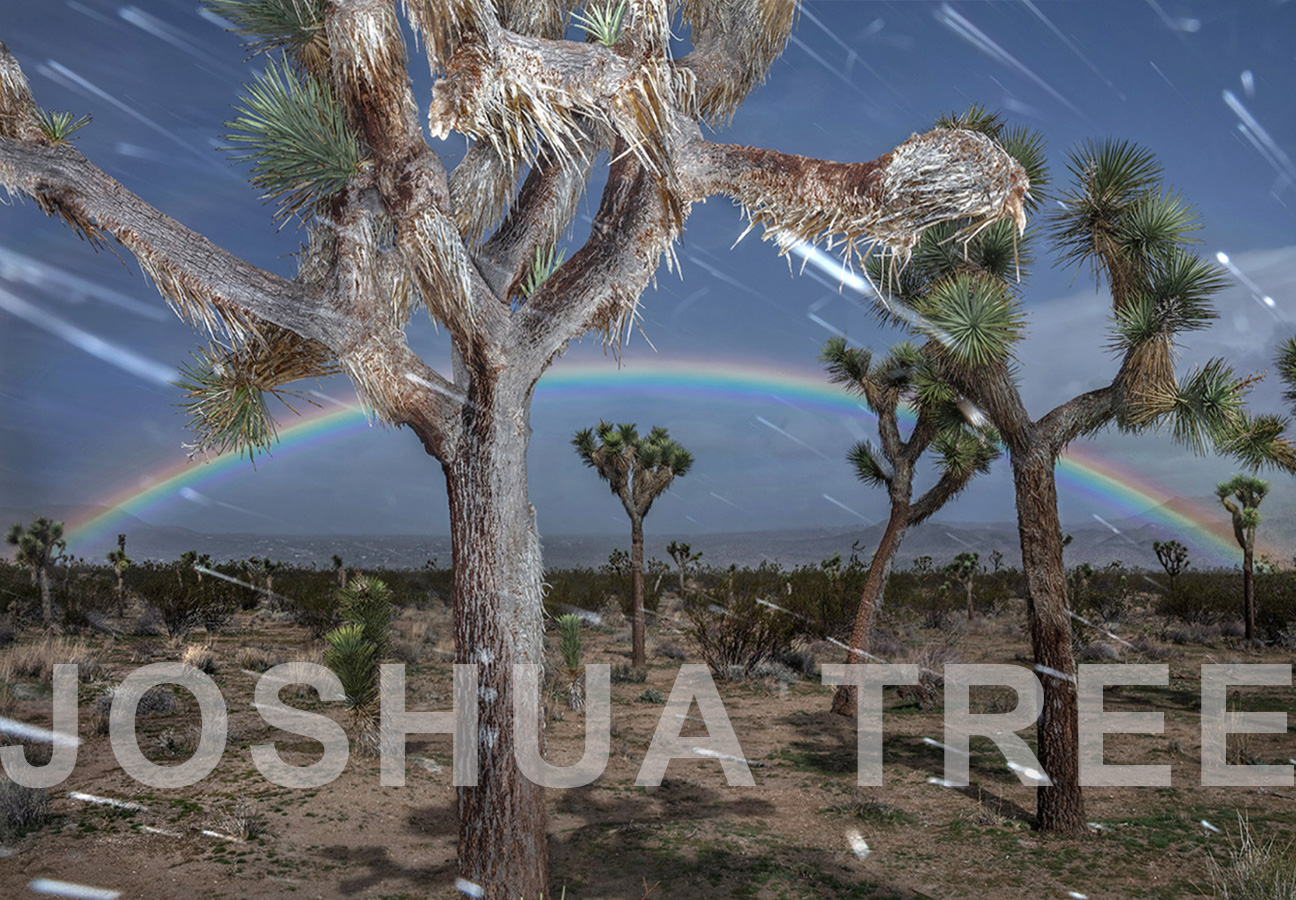 JOSHUATREE-TITLE-Website-Powerpoint-March2019