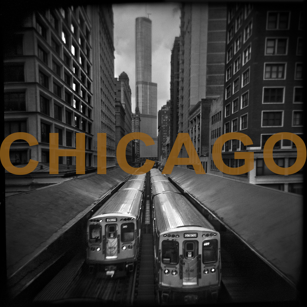 WEBSITE-NewPanel-CHICAGO-D